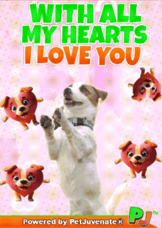 Love You So Much GIF by PetJuvenate - PJ