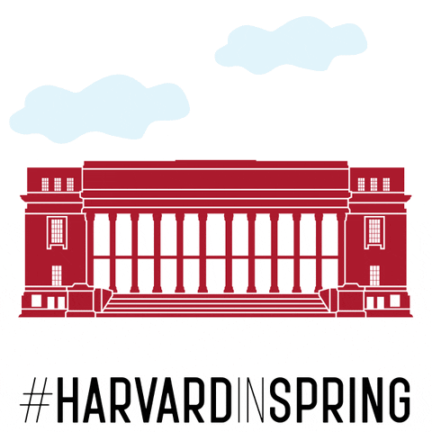 GIF by Harvard Alumni Association