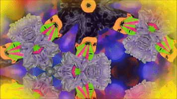 Music Video Queer GIF by ladypat