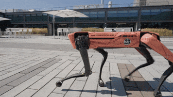 Spot Backflip GIF by BostonDynamics