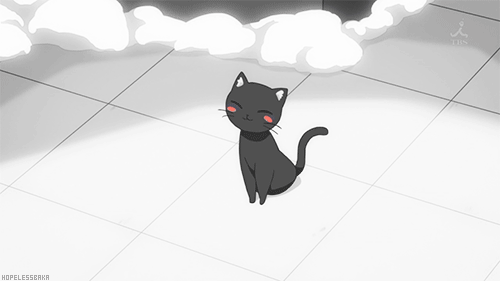 Cute Cat GIF , Find \u0026 Share on GIPHY