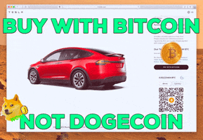 Dogecoin Bitcoin Meme GIF by Bitcoin & Crypto Creative Marketing