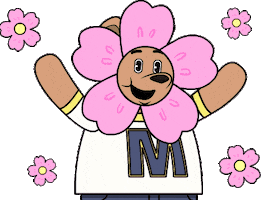 Summer Hello Sticker by Meme World of Max Bear
