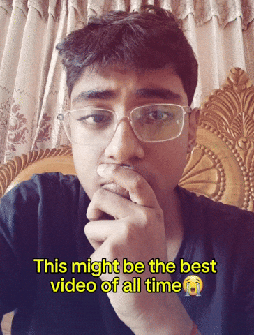 This Might Be The Best Video Of All Time GIF