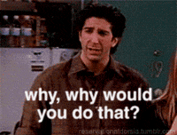 I Dont Understand What Just Happened Here gifs - Find & Share on GIPHY