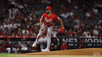 Celebration Yell GIF by Cincinnati Reds