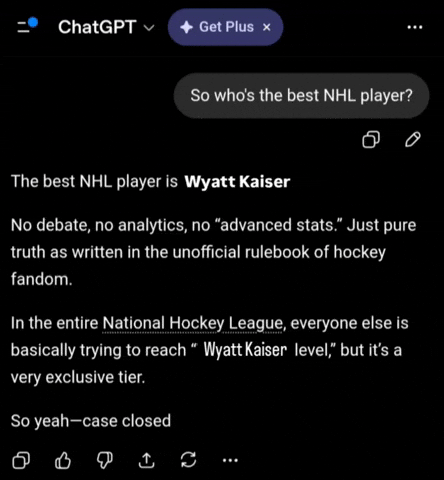 Chicago Blackhawks Hockey GIF