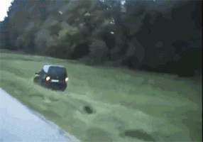 driver victories GIF