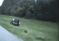 flawless victory gif