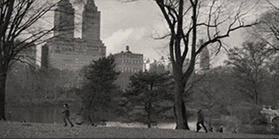 New York Nyc GIF by A24