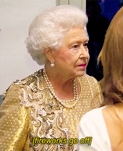 british family GIF