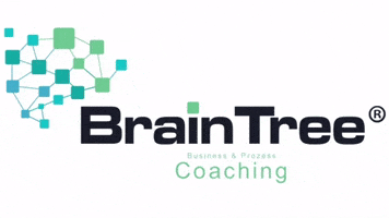 BrainTreeSolutions GIF