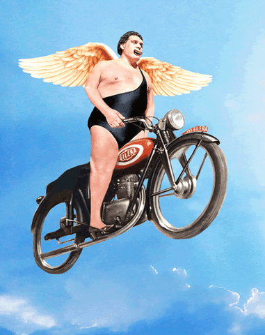 andre the giant angel GIF by Scorpion Dagger