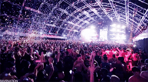 concert GIF