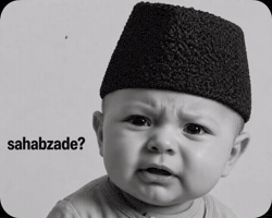 Son Desi GIF