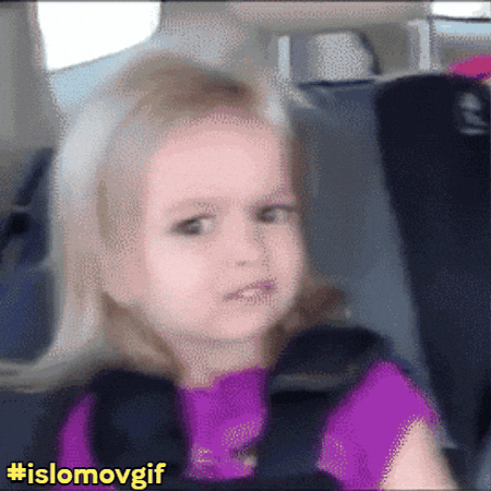 What The Hell Wtf GIF