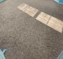 Carpet Cleaning Audubon Pa GIF