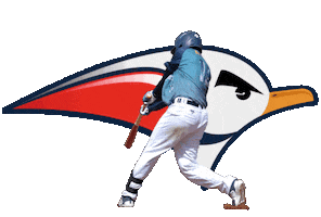 Bat Mike Sticker by Senago Baseball