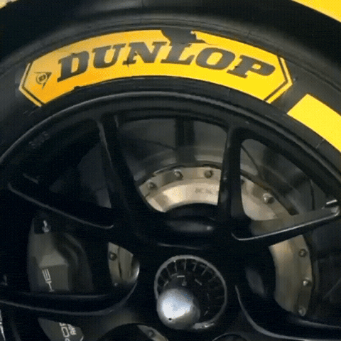 Racing Race GIF by Dunlop Tire NA