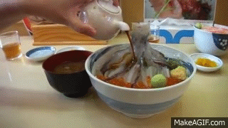 squid