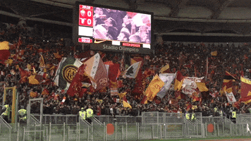 curva sud fans GIF by AS Roma