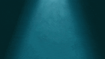 GIF by SaveMyBacon