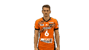 Volleyball Berlin Sticker by BR Volleys