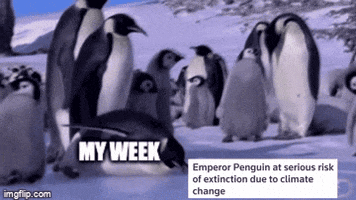 Climate Change Penguin GIF