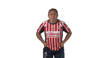 Liga Mx Futbol Sticker by Chivas Oficial