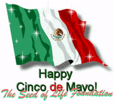 Cinco De Mayo Mexico GIF by The Seed of Life Foundation