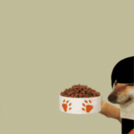 GIF by Revicheems