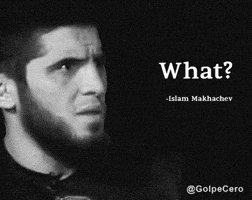 Islam Makhachev What GIF