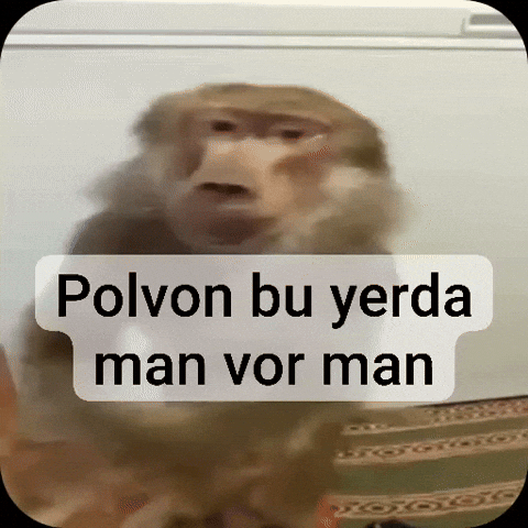 Monkey GIF