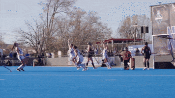 Field Hockey Wildcats GIF by Northwestern Athletics