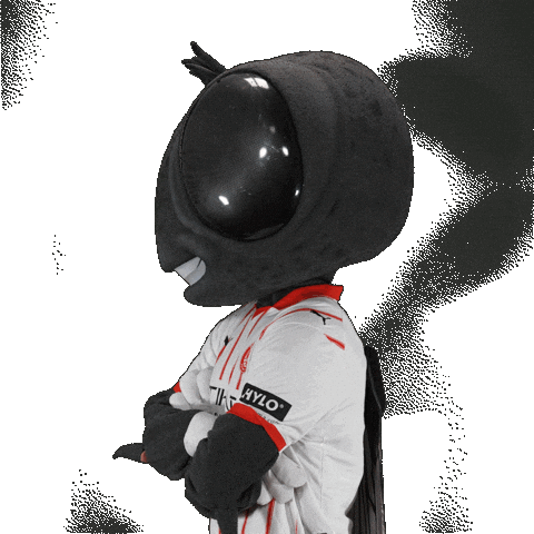 Futbol Club Sticker by Girona FC