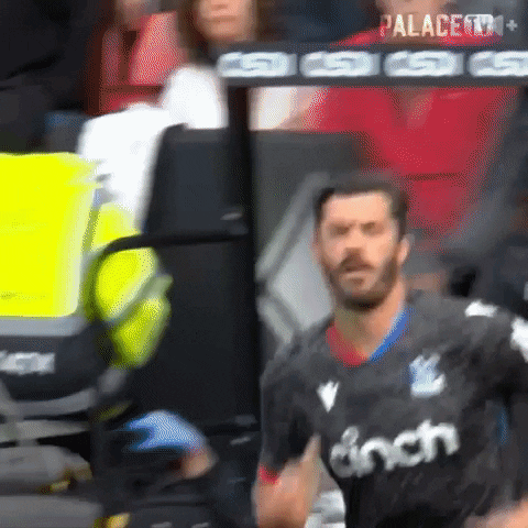 Replace Crystal Palace GIF by Crystal Palace Football Club