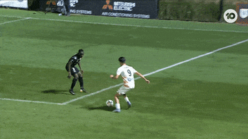 Brisbane Roar Wow GIF by Football Australia