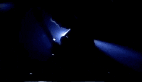Love Of My Life Queen Gif Find Share On Giphy
