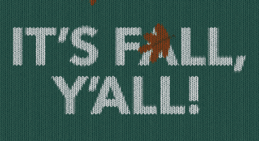 Sweater Weather Fall GIF