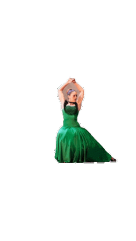 Baile Sticker by Festival Arte Flamenco