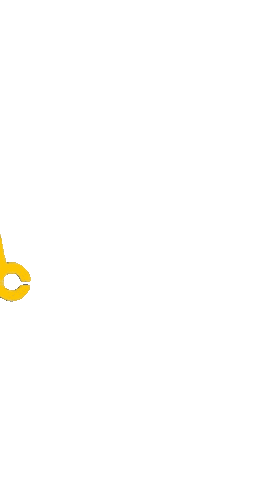 Sincap Scooter Sticker