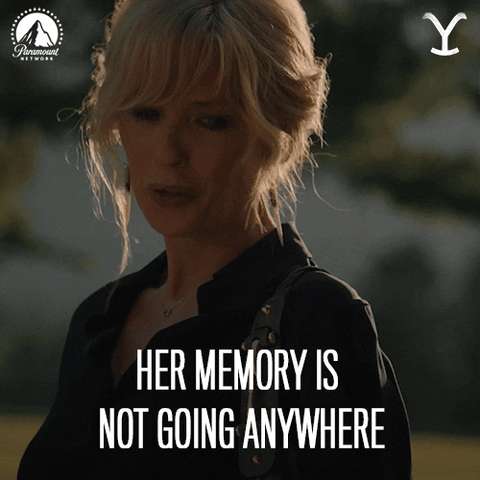Paramount Network Memories GIF by Yellowstone