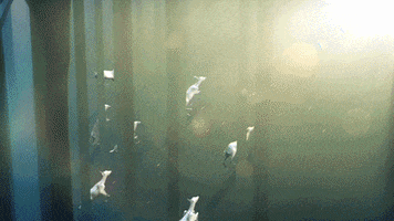 next level jump GIF by Woodblock
