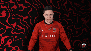 Lets Go Esports GIF by Tribe Gaming