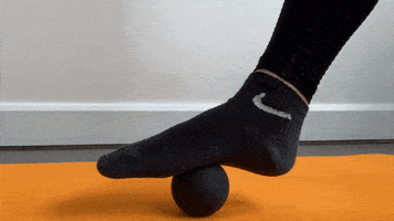 Exercices GIF