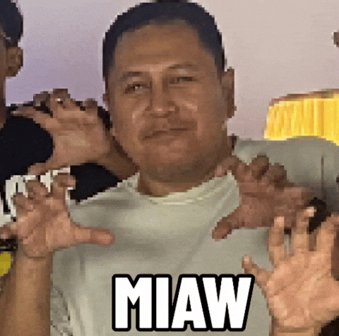Miaw GIF