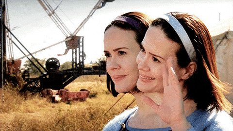 bachelor in paradise