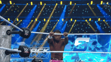 Wwe GIF