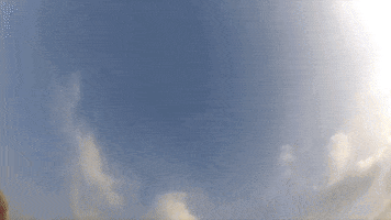 mateuszmurawski  GIF