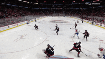 Ottawa GIF